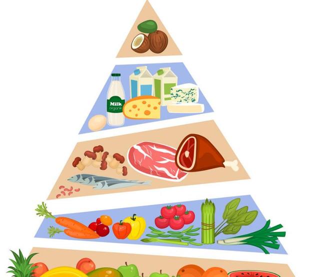 《乳制品與均衡飲食》 開(kāi)啟健康生活的營(yíng)養(yǎng)密碼